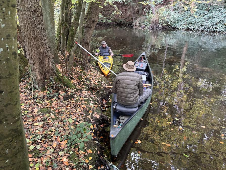 Anlanden im Auenwald