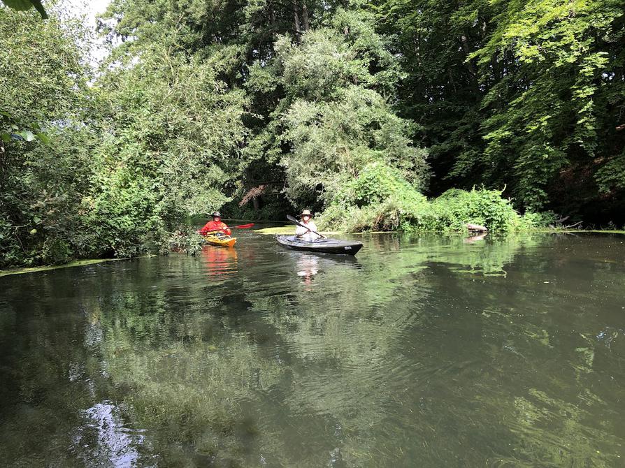 Schwentine nahe Gut Rastorf