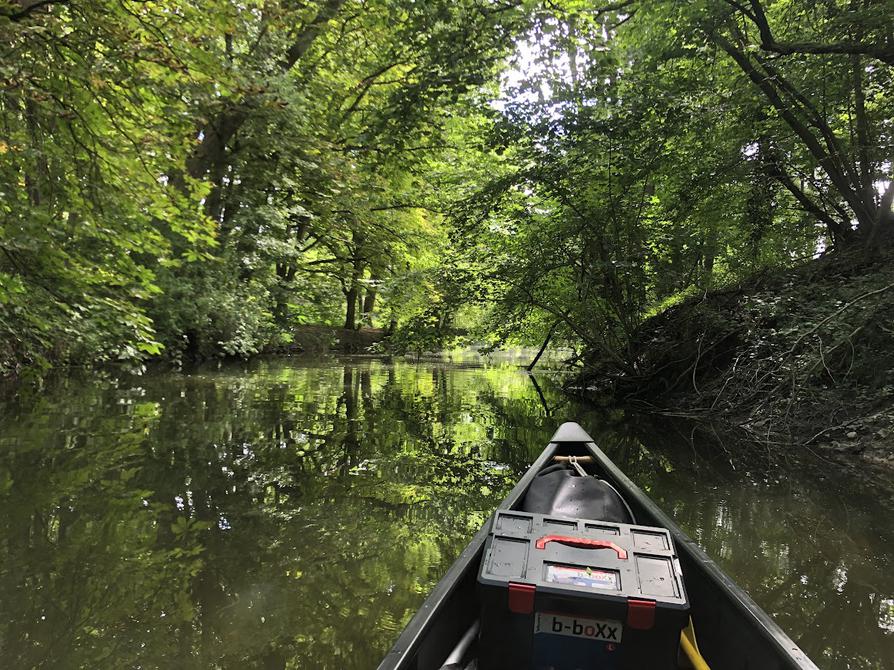 durch den Auenwald beim Gut Rastorf