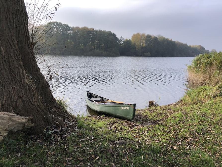 Freudenholmer Bucht