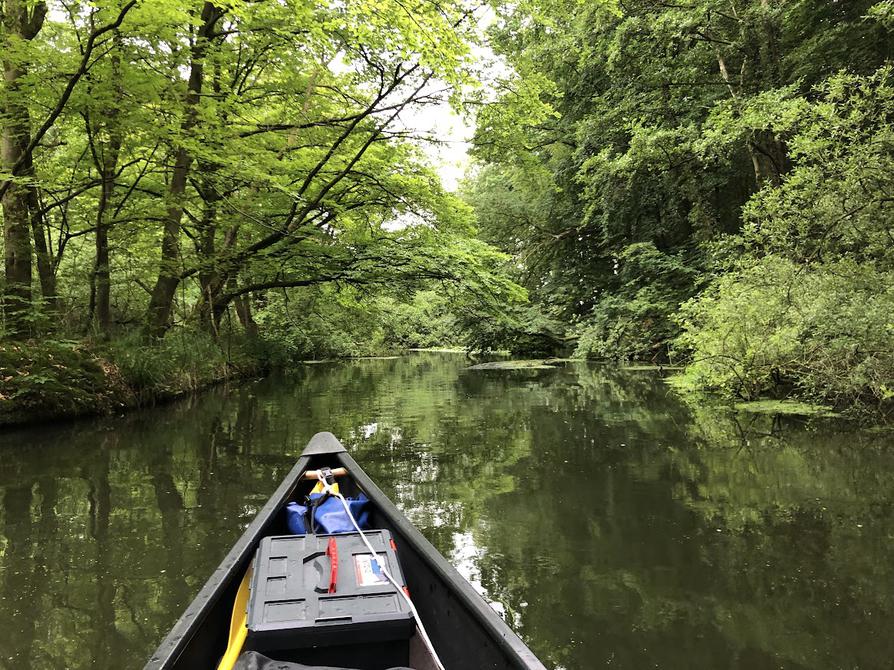 echte Wildnis an der Schwentine