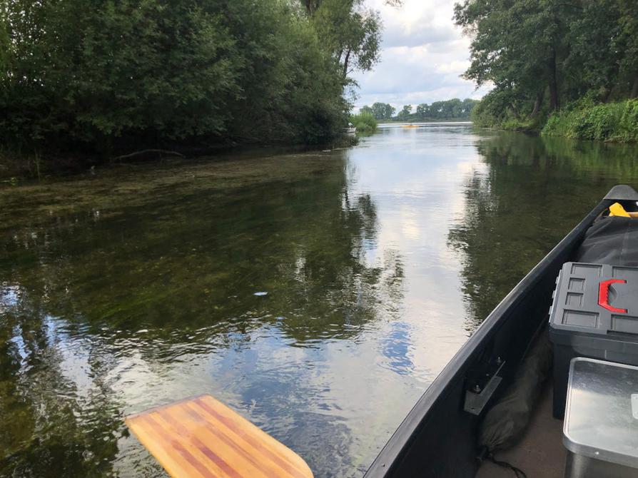 Schwentine mündet in den Lanker See ein