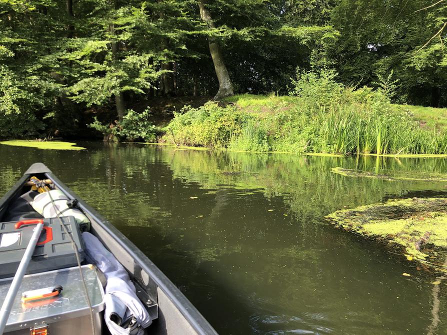 auf der Schwentine an der Halbinsel Stumpfes Eck vorbei