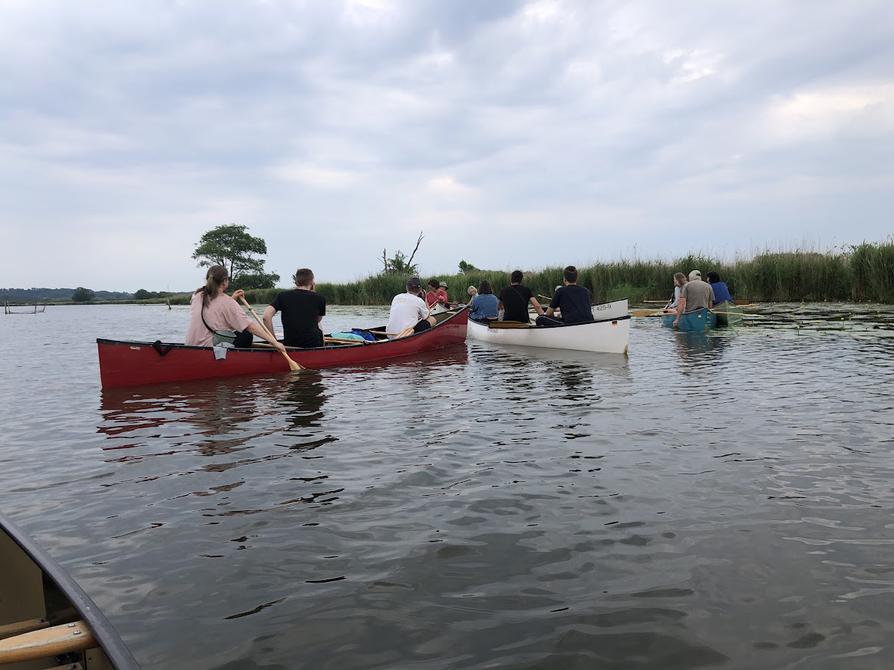 Polder bei Mescherin