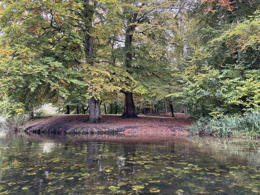 Frühherbst am stumpfen Eck